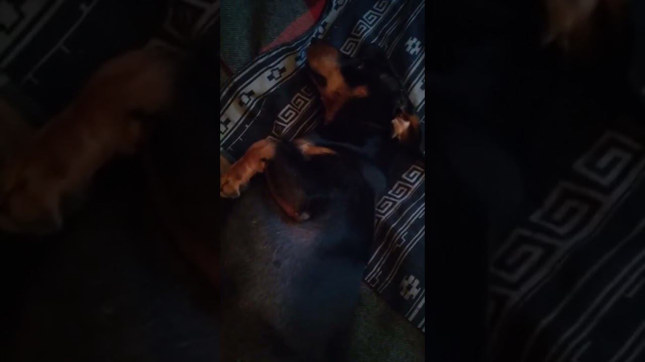 23 октября 2022 г. смотреть онлайн