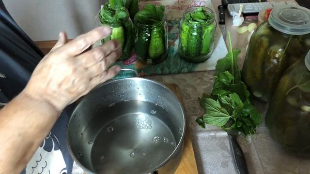 Самые вкусные соленые огурцы без стерилизации!! Лучший рецепт соленых огурцов холодным способом!))) смотреть онлайн