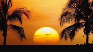 Pierre Thibaud, 'Andante Pour Trompette' (Saint-Preux)