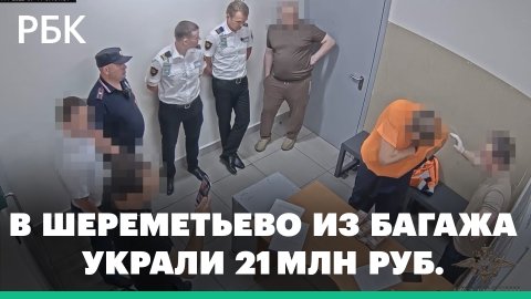 Грузчика в Шереметьево задержали за кражу 21 млн руб. из багажа пассажиров