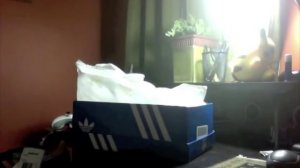 Unboxing: Adidas Originals: Samba