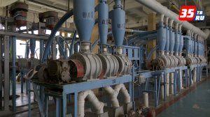 Шекснинский хлебокомбинат динамично увеличивает производство пшеничной муки