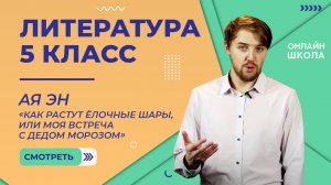 Ая Эн «Как растут ёлочные шары...» Видеоурок 37. Литература 5 класс