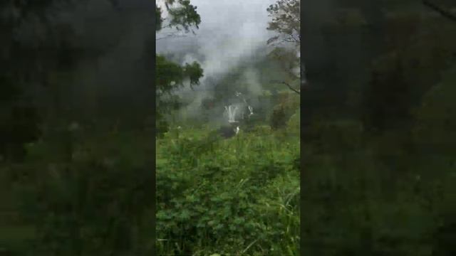 St. Clair Falls (view from train), Talawakelle Sri Lanka