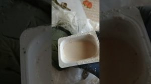 Поделки из гипса. Заливка на глину