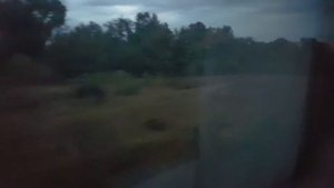 Москва Волгоград 001 прибытие на станцию Арчида вид из окна поезда 2016
