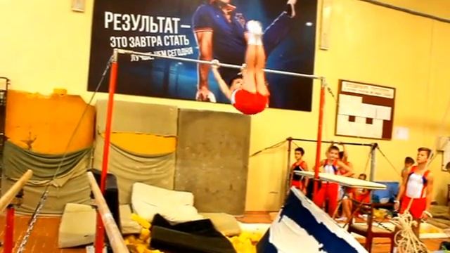 2 й взрослый разряд по спортивной гимнастике