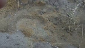 Выпуск 1. Металлопоиск. Пляж