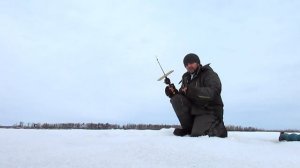 Ловля язя на Оби по последнему льду