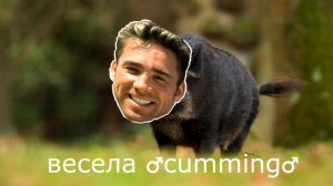 Бегает по полю весело кабанчик ♂Right Version♂ | Gachi Remix