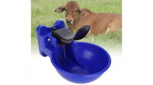 АВТОМАТИЧЕСКАЯ ПОИЛКА ДЛЯ ОВЕЦ, КОРОВ, КОЗ, ЛОШАДЕЙ И СВИНЕЙ. Наш сайт VETMARKET.UZ