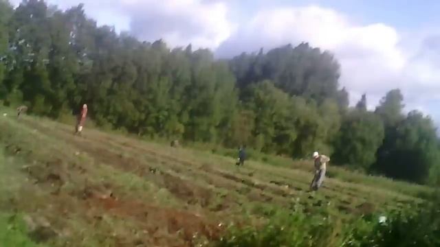 сбор картошки в деревне,глазами 6-ти летнего человека!!)) смотреть онлайн