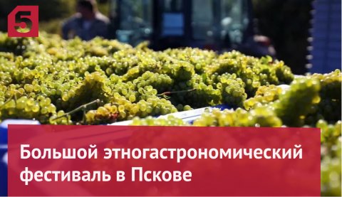 Как научный подход поможет возродить виноделие в России
