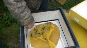 ? Чтобы при подкормке пчел осенью они забрали весь сироп ?