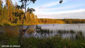 Northern Karelia. Pike Lake / Северная Карелия. Щучье озеро