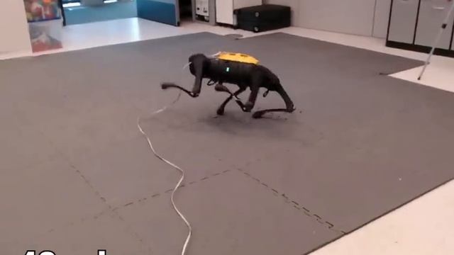 Самообучение роботов