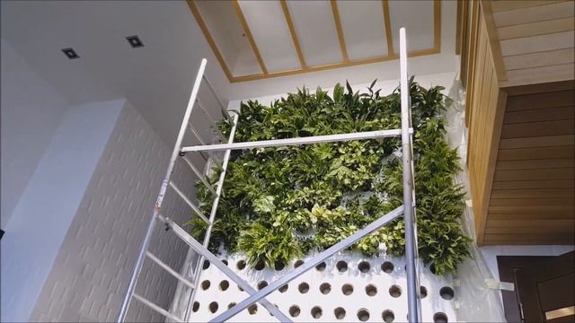 Як зробити зелену стіну в будинку смотреть онлайн