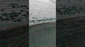 Армированная пленка для парника