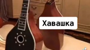 Во хавашка