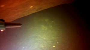 Ночная подводная охота на Раков. Ловим и варим Раков!