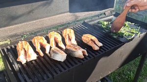 Семга в сливочном соусе на мангале