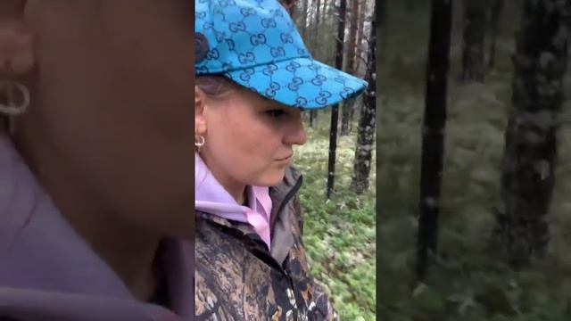 ЗА ГРИБАМИ /КАРЕЛИЯ смотреть онлайн