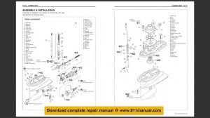Suzuki DF30 (DF 30) Manual