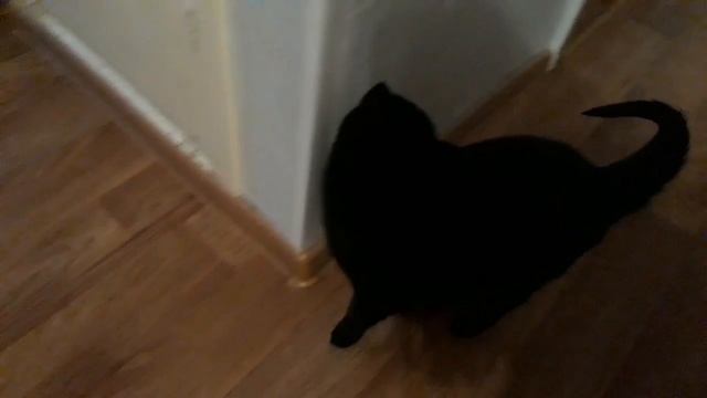 НОВОГОДНИЙ СТОЛ/УТРО ПОСЛЕ НОВОГО ГОДА/ПОДАРКИ ДЕДА МОРОЗА??? смотреть онлайн