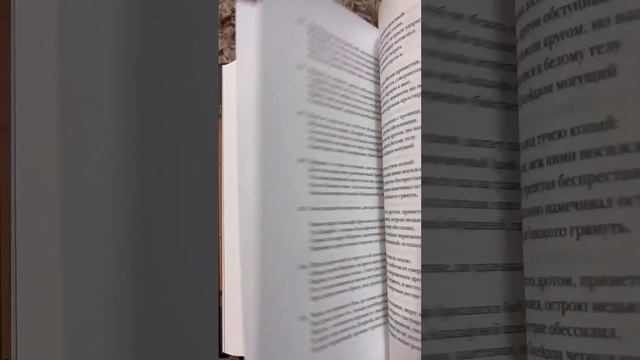 Четыре сюжета в мировой литературе