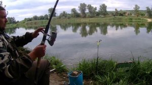 Ловля лещей и подлещиков на Северском Донце.Дневной выход леща в Святогорски.#фидернаярыбалка