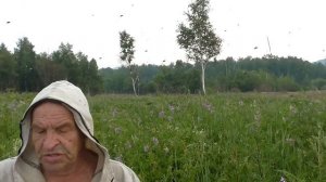 Ноннотыдяк С Эвенкийского на Русский переводится  РЫСЬ СЪЕЛИ