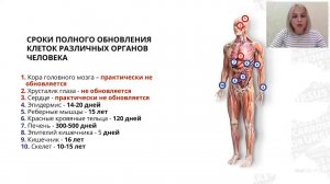 Сроки обновления клеток. Врач С.Орешникова