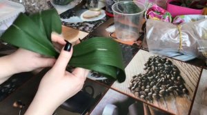 Реанимация Орхидеи во мхе