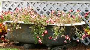 Изумительный садовый декор из старой мебели и вещей! 110 примеров для вдохновения!