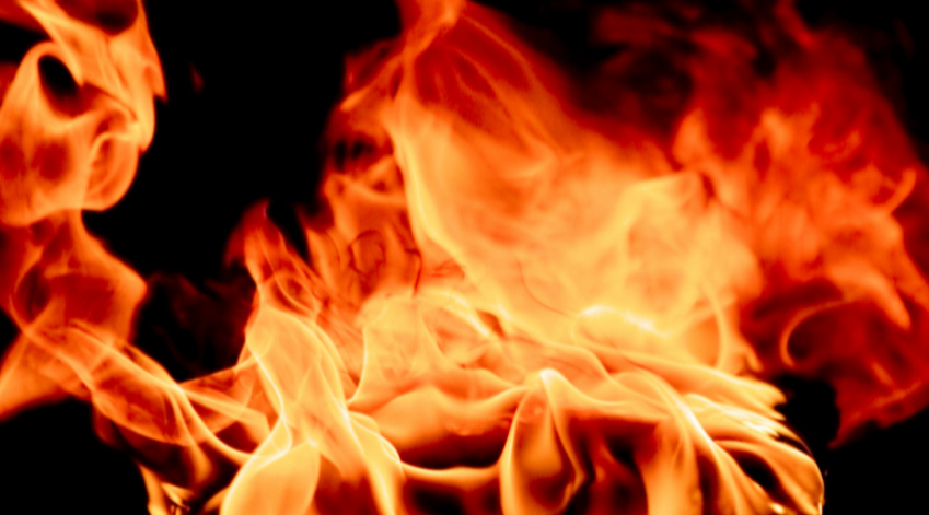 Приморье в огне: как регион борется с природными пожарами