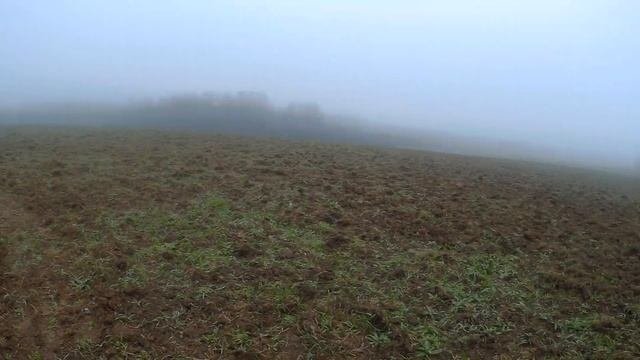 Поиск монет по урочищам.КОП по Московской области.
