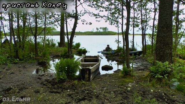 БОЛОТО. Ельня. Новая тропа. смотреть онлайн