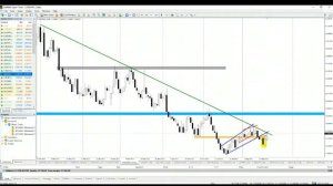 Daily Analytical Report. 18.08.2017