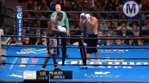 Deontay Wilder vs Chris Arreola Highlights