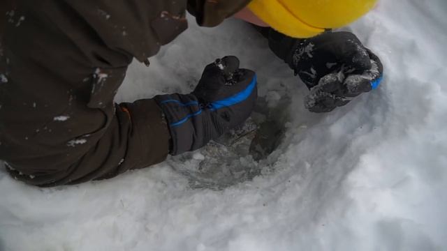Эти жуткие и опасные находки мы нашли во льдах, где лежат динозавры!