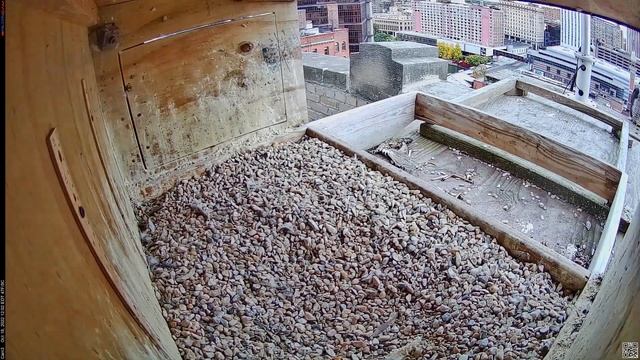 Camera 3 - 10/18/22 смотреть онлайн