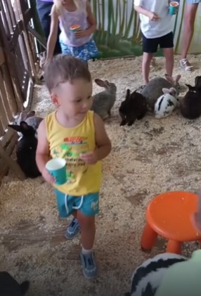 Кормим кроликов. смотреть онлайн