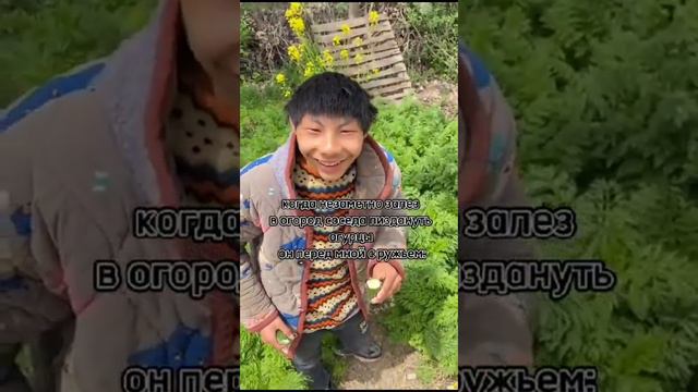 хз что писать#тикток#огурцы#смех смотреть онлайн