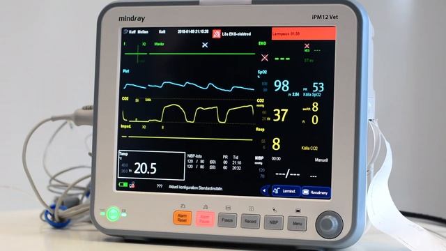 Mindray iPM12 Vet смотреть онлайн
