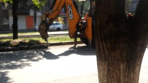 Гидромолот Fine 6BL на экскаваторе-погрузчике JCB 3CX