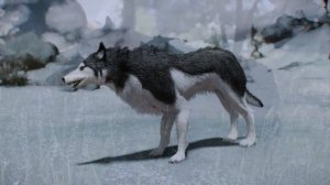 Skyrim True Wolves Of Skyrim LE/SE