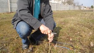 Простой клен превращаем в Канадский сахарный