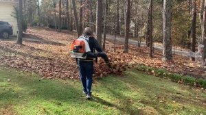 Stihl Br800 Blowing Leaves