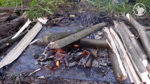 Как добыть соль в лесу