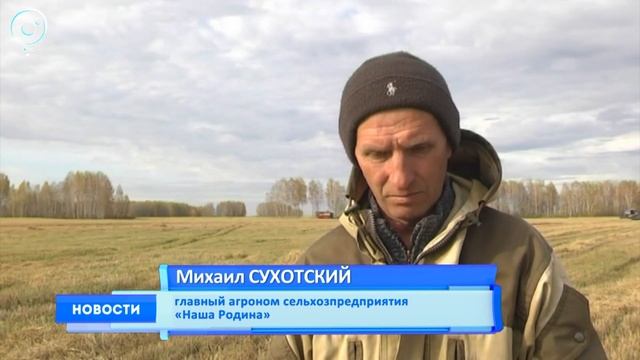 Погода позволяет. Аграрии Куйбышевского района обмолотили больше половины зерновых смотреть онлайн